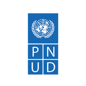 pnud